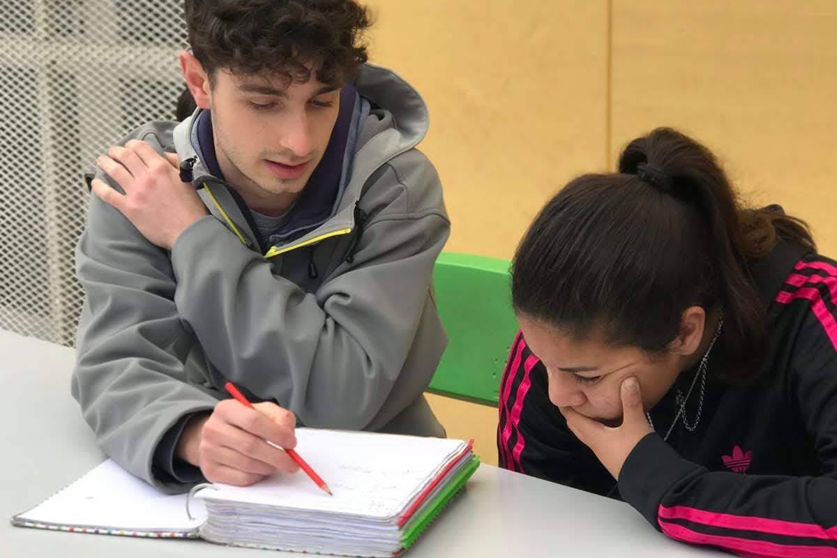 Eje educación